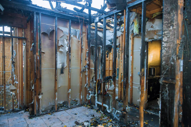 Professional Fire Damage Removal technician working in Luverne, AL